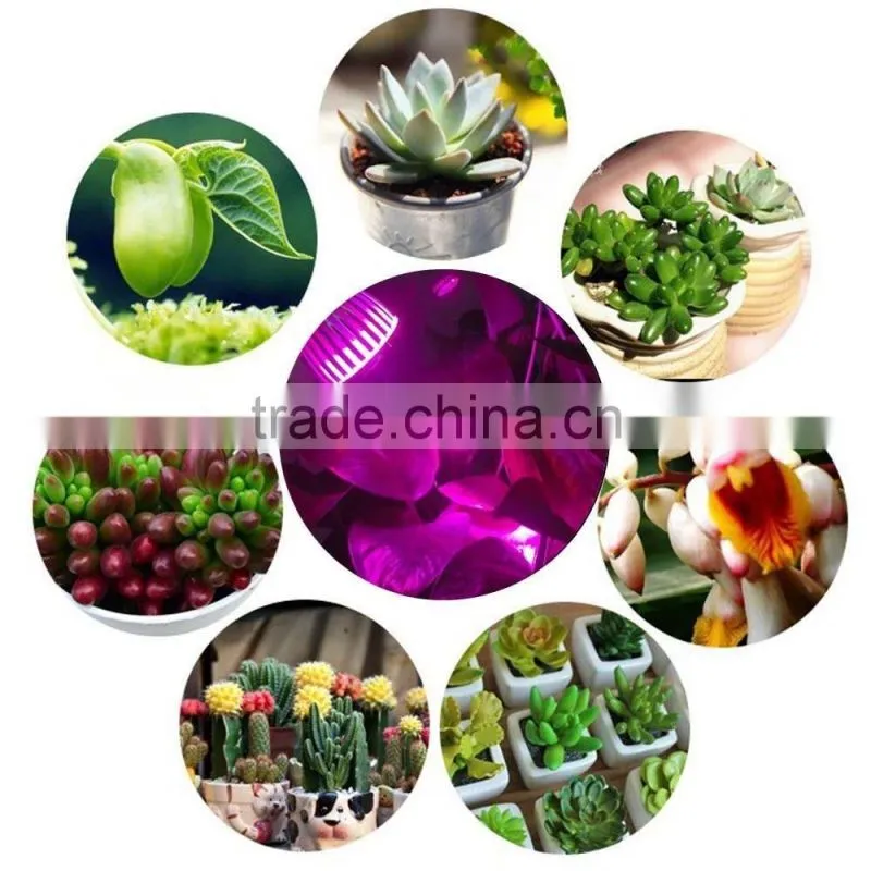 10W LED Grow Lights for Indoor Plants