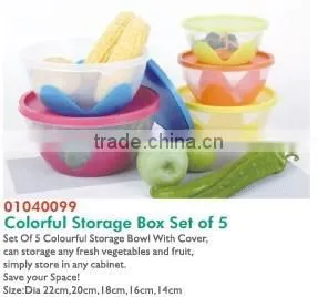 01040099 Colorful Storage Box Set of 5