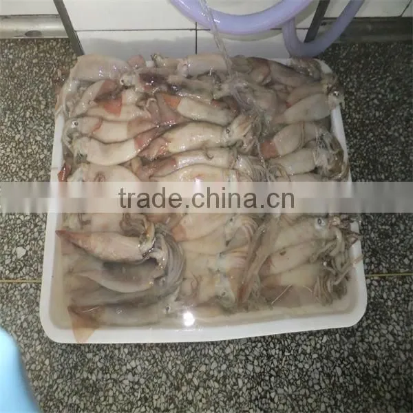 Best Cooking Frozen Squid