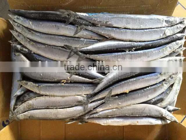 Pacifc saury frozen