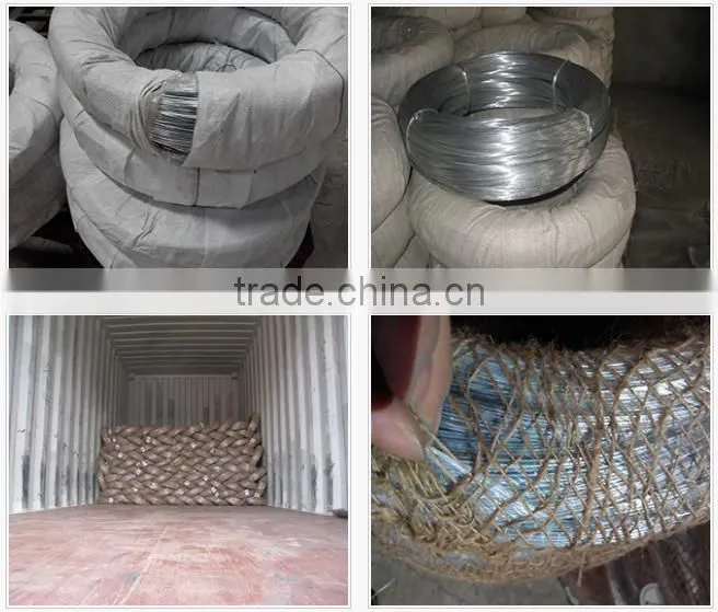 factory direct galvanized carbon steel wire iron wire with cheap price