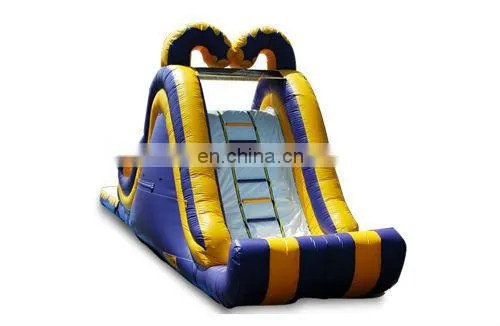 inflatable backload water slide with pool