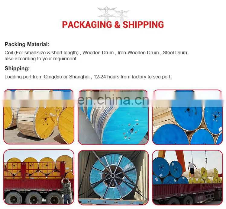overhead line bare AAC ACSR DOG AAAC aerial drop conductor