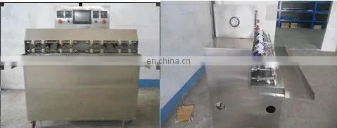 Best Price CXD-8 Frozen Bean Curd Pouch Sealing Machine