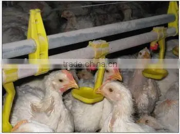 water nipple drinker chicken for poutry equipment