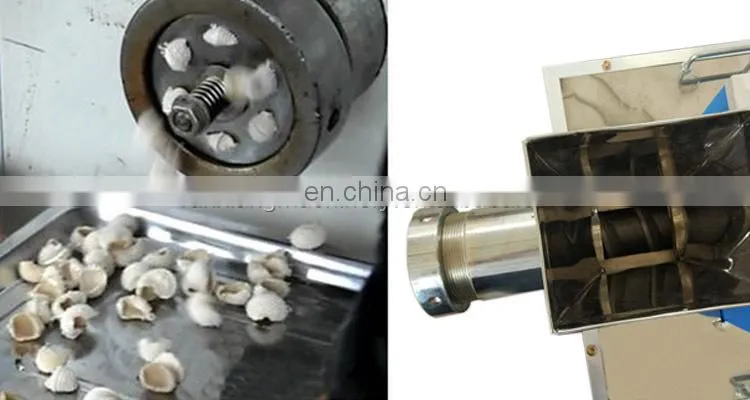 Industrial electric small fresh pasta processing price manufacture making pasta maker machine