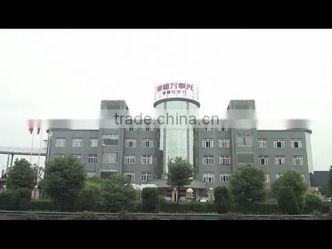 Longtime Holding Group Co., Ltd. company overview - view 1