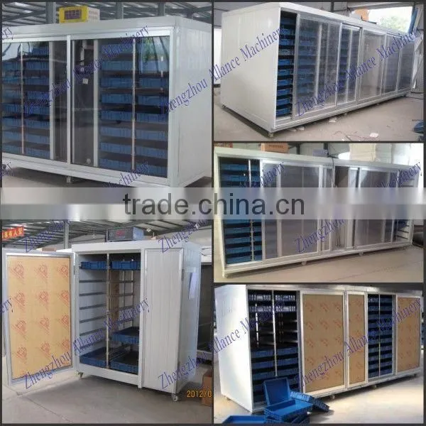 Hot sales Automatic equipments for shoots /peas /radish /alfalfa sprouts cultivate