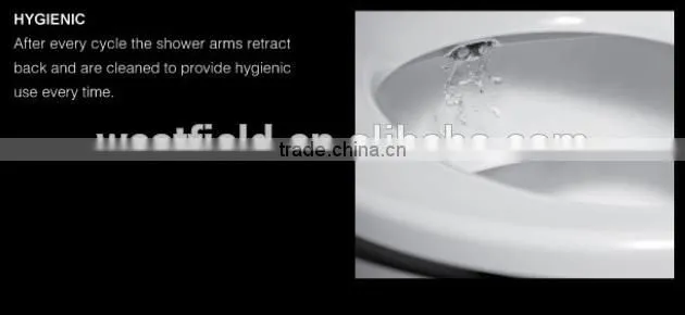 Factory Bathroom Auto-cleaning PP Toliet Seat &Bidet Toilet Built-in