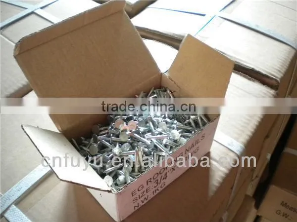 zinc plated clout nail for ceiling factory of linyi shandong