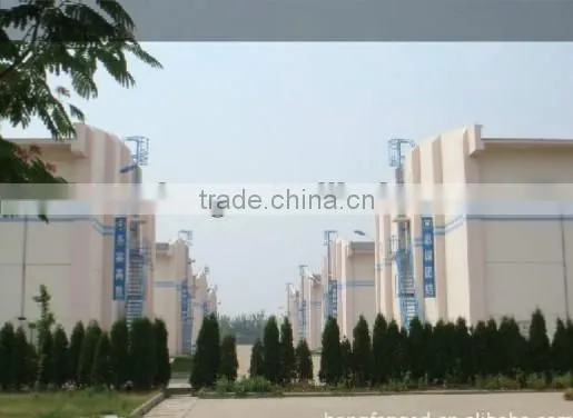 Hot sales! Frozen net spring roll rice wrappers