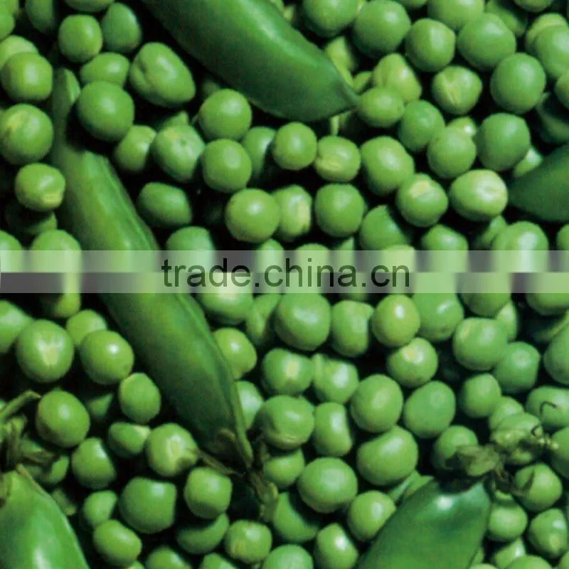 canned green soya beans