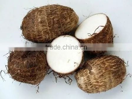 FRESH SWEET POTATOES WITH BEST PRICE AND GOOD QUALITY