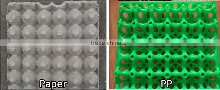 alibaba buy now plastic eggs trays