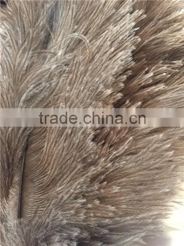 Home Valet Ostrich Feather Duster Natural Soft and Safe with red color