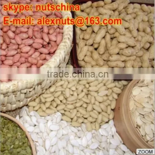 Blanched Peanuts 25/29 29/33