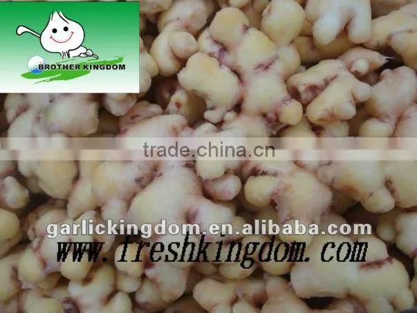 best quality chinese fresh ginger 150g up