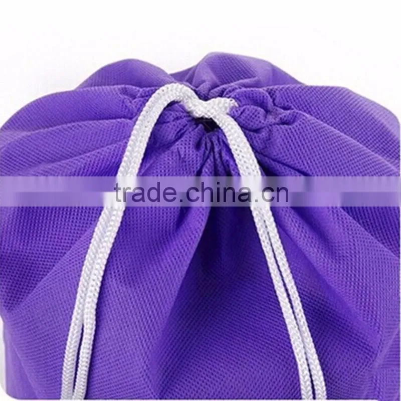 Economical Shoe Bags Custom Shoes Carry Bag