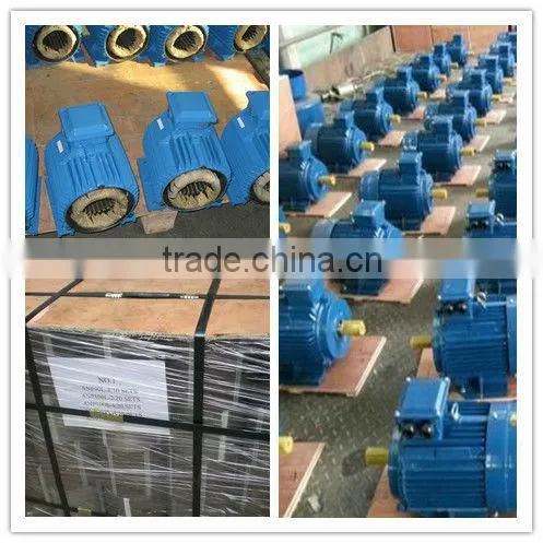 worm gear speed reducer Ac Synchronous Motor