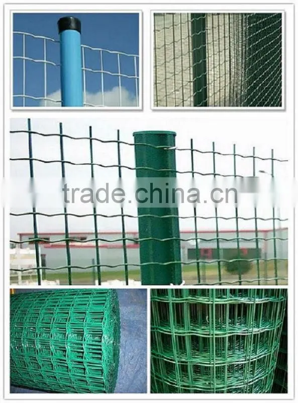 Wire Mesh