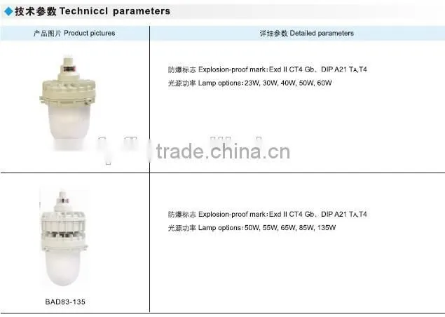 BAD83 explosion proof induction lamp