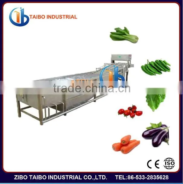 Professional manufacturer: industrial fruit washing machine for persimmons