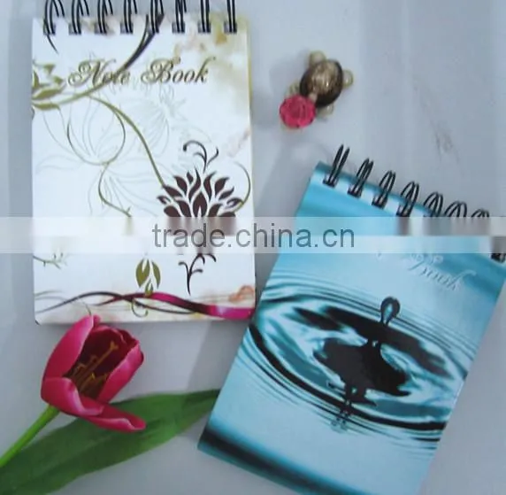 plastic slide binder ,plastic file lever , file folder slide binder