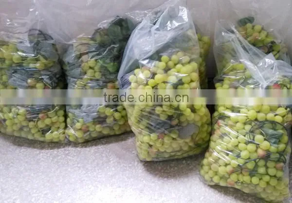 2015 style grape CE ROHS certificated new designed popular ball led decorate light led home decoration light