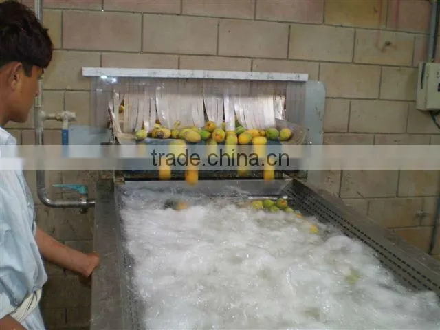 complete set of mango juice production plant