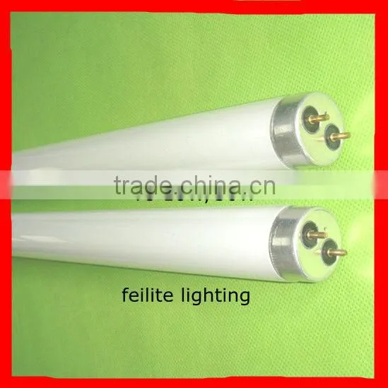 China products fluorescein strips