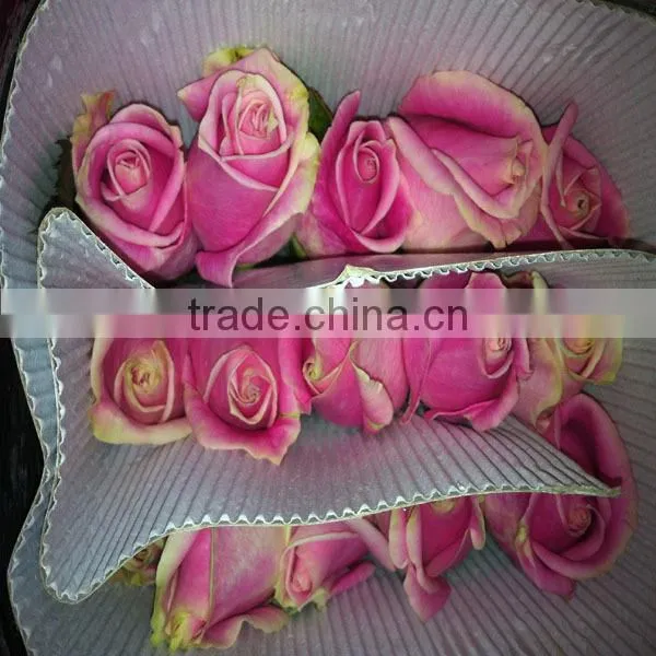 export fresh cut flowers roses from China online