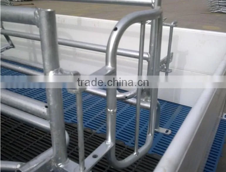 Pig Farm Equipment Pig Stalls Pig Equipment