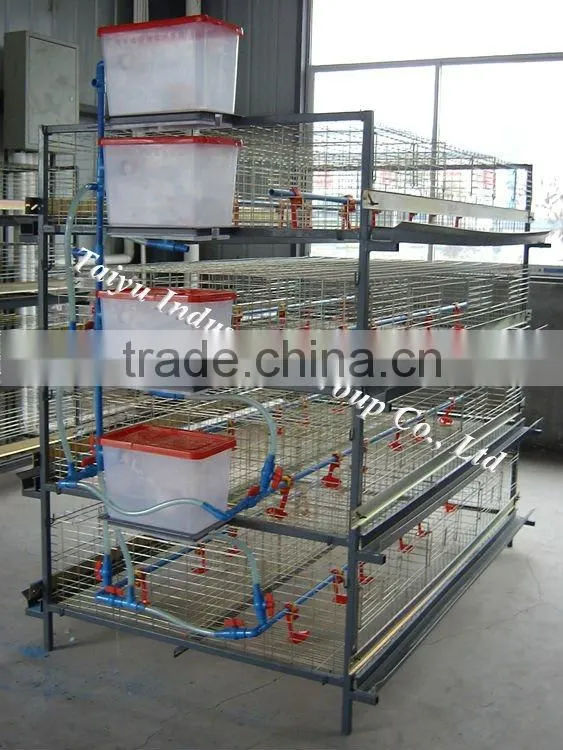 high quality egg layer cage