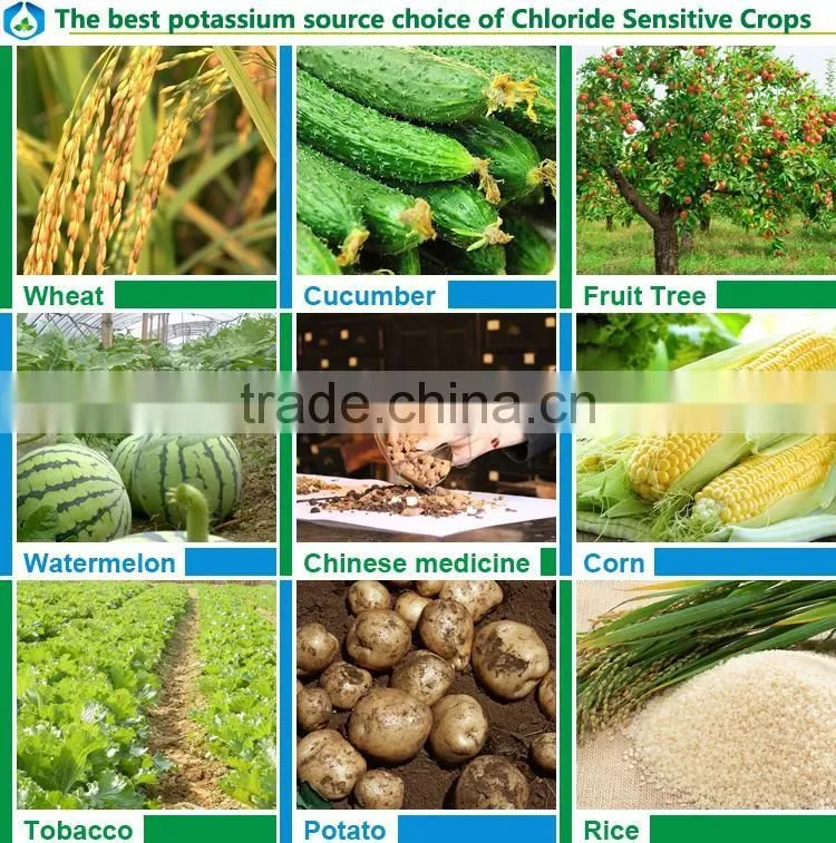 best agriculture grade Potassium Sulphate 50% fertilizer powder