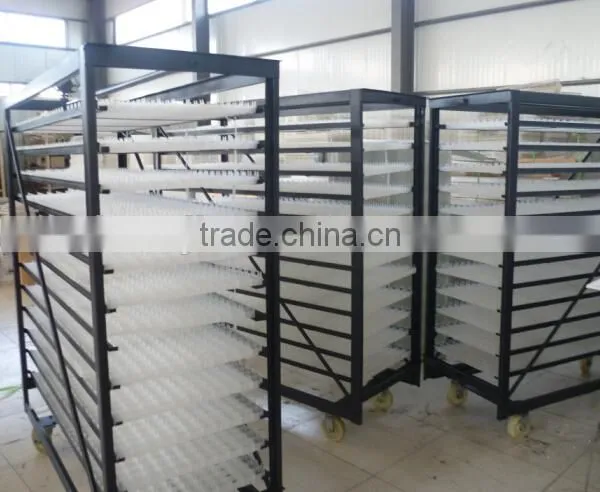 Dezhou cheap large capacity 20000 eggs automatic egg incubator