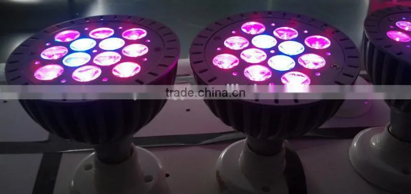2017 new grow lights for pot,par 38 led grow light,led mini par lights