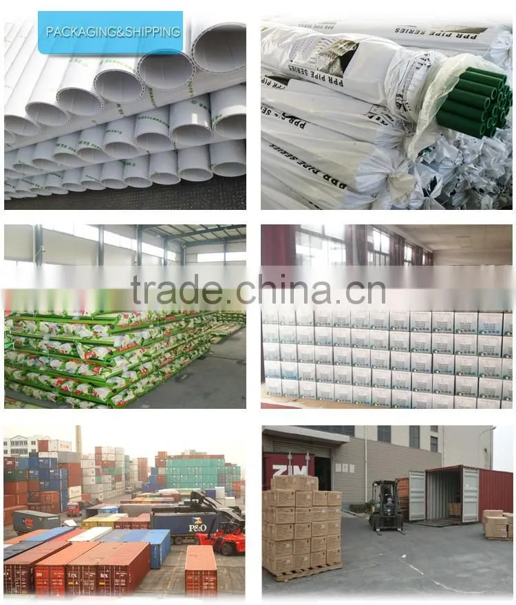 PPH pipe fitting Male Thread Adapter DIN 20mm