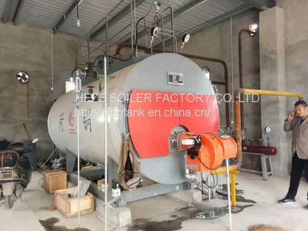 GAS FUEL BOILER