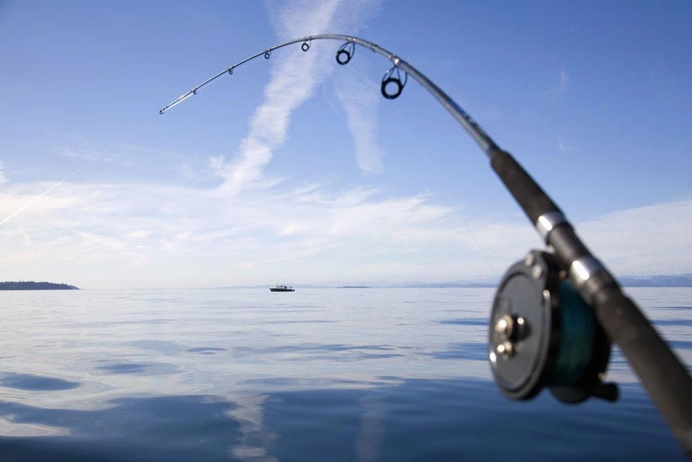 Suning Yuzhongle Fishing Gear Co., Ltd company overview - view 2