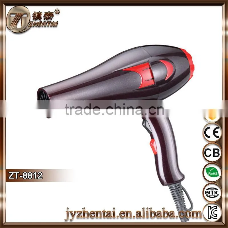 ZT-8812 Hair Dryer Hot Sale New Pro Super Hair Dryer Wet 2 Dry Hand Dryer