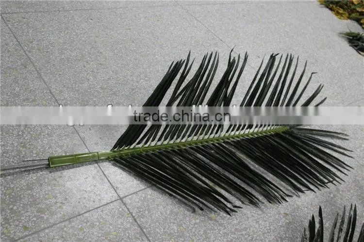 coconuts leaves price