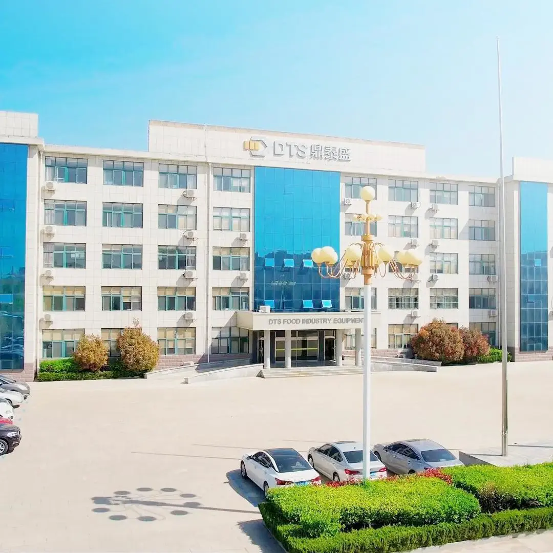 Shandong Dingtaisheng Machinery & Technology Co., Ltd. company overview - view 1