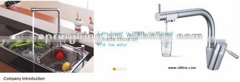 Contemporary Solid Brass Kitchen Faucet Pull Out Spring Sink Mixer Tap