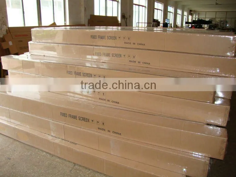 Extra Large Frame projection screen