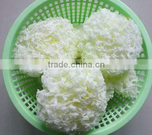 dried tremella mushroom