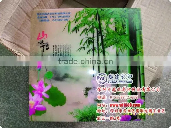 Digital high quality magnifying glass for printing machine