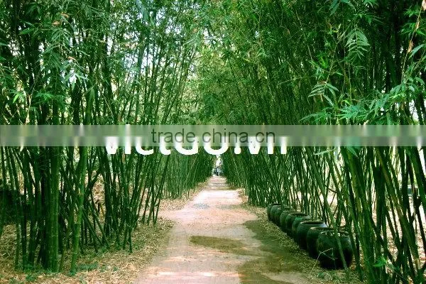 Bark fence with bamboo pole