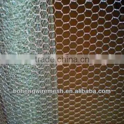 Electro Galvanized Hexagonal Wire mesh