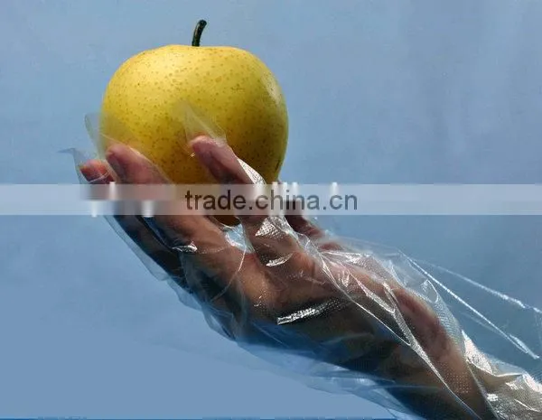 hair salon glove