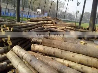 2015 hot selling wood debarking machine,wood debarker